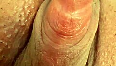 corno watches live as wife surrenders pussy to stranger's thrusts