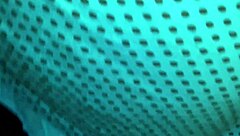 Oops, stepmom cleans kitchen bending over flashing fat plump pussy accidentally?