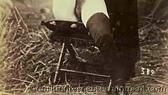 Victorian gentleman's erotic confessions of hairy pussy conquests