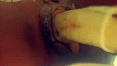 fresh veggie tempts taste buds delightfully