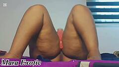 Damn, Mara Exotic's ebony BBW squirts on double toys!