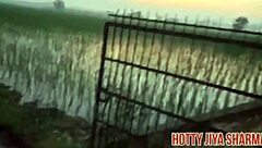 Desi Girl's Outdoor Missionary Fuck with Boyfriend