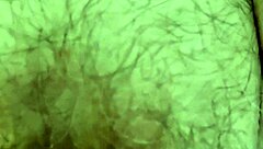 Hairy Mature Pussy Close-Up Leads To Intense Orgasm
