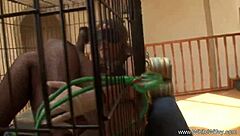 Masked pawg moans hard as bbc pounds her deep