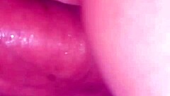 husband wets wife's lingerie pussy in amateur hotel