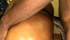 don't tease my long cock with your tight curvy ass ride