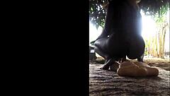 Do you like riding a toy outside