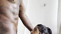 big booty brazilian gets american daddy