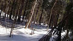 Masturbation In The Snow Feels Cold Yet Hot