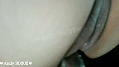 Latina Prostitute From Toluca Gets On All Fours Loving Hard Dick