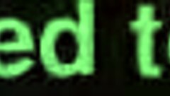 Amateurs try doggystyle position