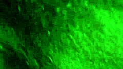 Her Detailed Sucking and Licking Performance