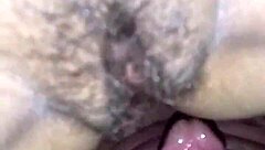 Treinando Gulosa Para Receber Dois Paus