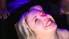 cherry the fruit in various natural settings and contexts