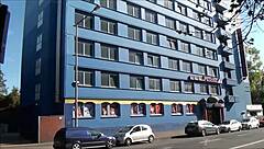 exploring pascha in cologne germany