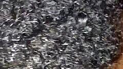 Emotions Of Ebony Beauty