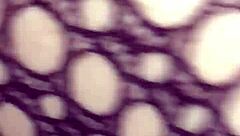 Dizzy Thadon2133 gives an intense lick and blowjob in this hot session