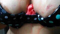 Hotty wild cat Rita playfully interacts with a watermelon