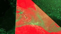 Young Brunette Shaira In Hardcore Porn Casting Interview