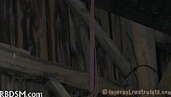 in this story, a submissive endures hardcore servitude acts