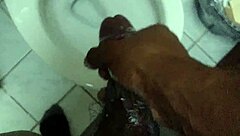 Monster cock gets a soapy rub in this solo video