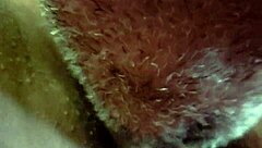 licking asian pussy with fingers in cunilingus masturbation