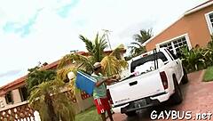 Free Homosexual Porn Web Resource for Gay Entertainment