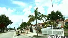 Free Homosexual Porn Web Resource for Gay Entertainment