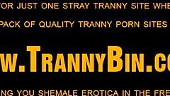 Latin shemale with tattoo masturbates solo! Crossdressing babe in action!