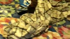 Is sex happening in Sanchas room with blowjob and pussy play?