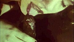 Czy dasz radę tej vintage akcji trójki międzyrasowej?