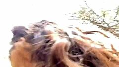 Alana Masturbates With Small 18+ Tits