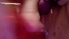 creamy filling in a dessert context