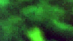 i remember my ex riding with me in homemade amateurs video together now