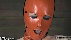 Four gals inside petite cage