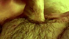wife sucking husband's cock amateur