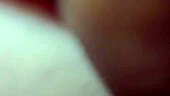 Stallion with big ass and pussy