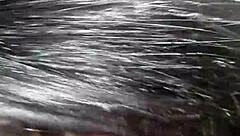 A story from November 5, 2016, at 3:56 AM.