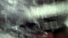 A story from November 5, 2016, at 3:56 AM.