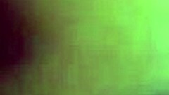 A sexy little dog in a fun adventure with friends