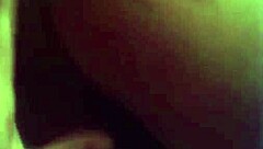 A sexy little dog in a fun adventure with friends