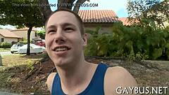 Fellows Engaging In Detailed Homosexual Sex Acts