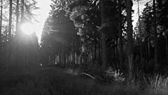 i saw the blonde boasting about her new bra and the guy wanted it