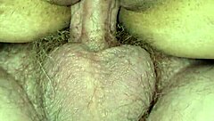 Detailed Description Of My Wife's Everyday Life And Adventures