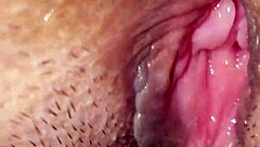 Detailed Description Of My Wife's Everyday Life And Adventures