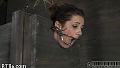 Ferocious Whipping Inflicted On Gal