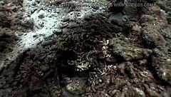 Detailed View of the Sexy Bikini Girl from Croc