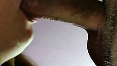 gentle slow blowjob to your lover in intimate moment.