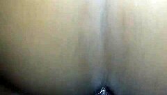 What's this pussy doing on this date?