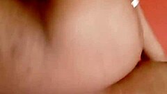 Exciting Update 99 From Sundaydogood614 On March 11 2024!